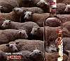 smirnoff-5.jpg